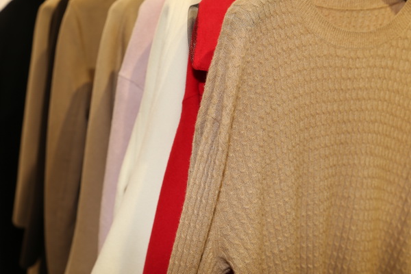 &ldquo;絲駝&rdquo;又一鐘情于駝絨產(chǎn)業(yè)的企業(yè)，綻放2023intertextile