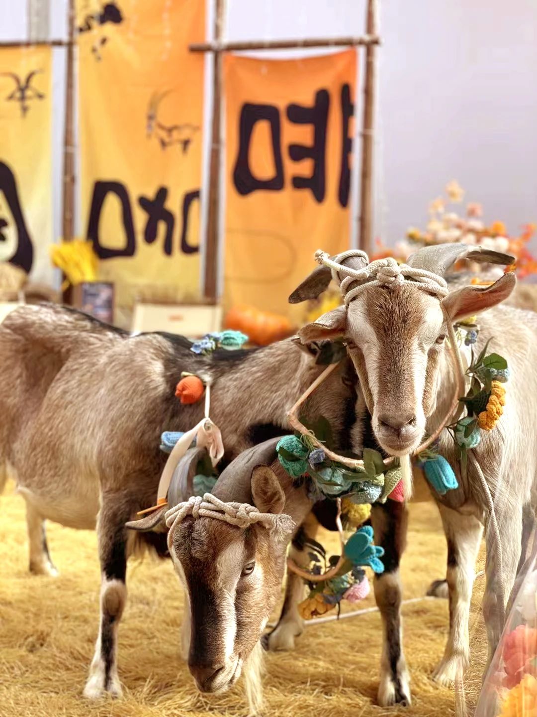 6萬人次入場，意向成交額32億元！第20屆&ldquo;織交會(huì)&rdquo;完美收官