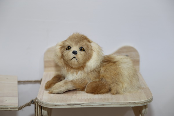 眾地家紡發(fā)力寵物用品， 倍受日商青睞