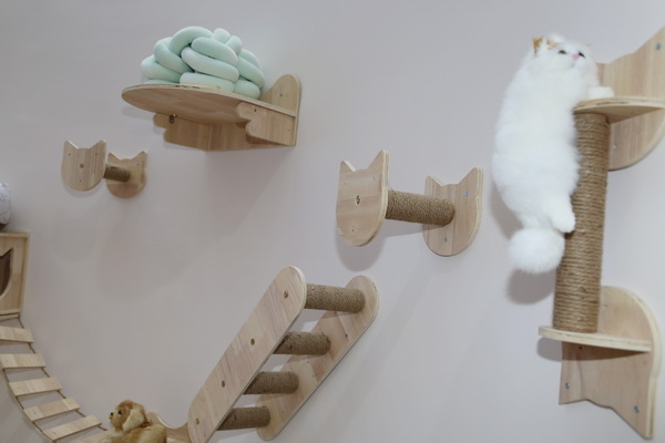 眾地家紡發(fā)力寵物用品， 倍受日商青睞