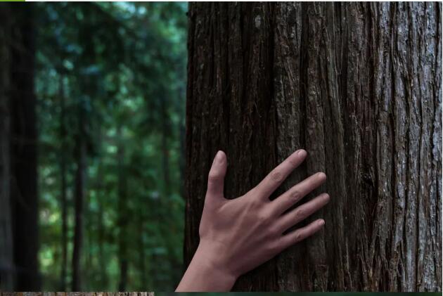 蘭精在2024年上海國(guó)際紡織面料展上展示用于防紫外線服裝*的天絲&trade;莫代爾纖維