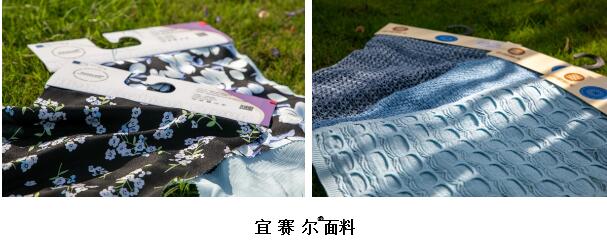 詮釋竹風(fēng)雅韻，&ldquo;纖&rdquo;動綠色風(fēng)尚！絲麗雅系列產(chǎn)品品牌即將于柯橋發(fā)布