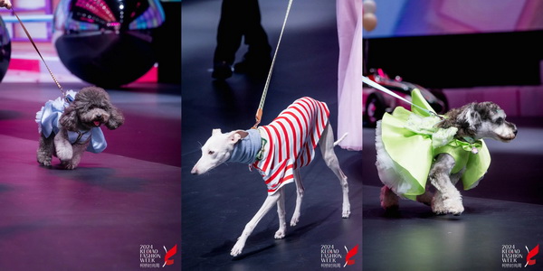 柯橋時尚綻放高光！20場品牌發(fā)布會傳遞原創(chuàng)設(shè)計之美