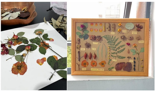 自然印記&mdash;染夏工坊課程招生！