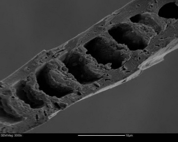 &ldquo;伯麗奴(Perino&trade;)"帚尾袋貂絨混紡紗亮相大灣區(qū)紡博會