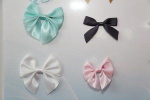  中華紡織網(wǎng)面輔料展區(qū)成功舉辦推介會(huì)，新材料、新工藝 助力興城泳裝產(chǎn)業(yè)升級(jí)